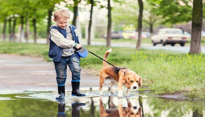raza de perros ideal para hogares con niños